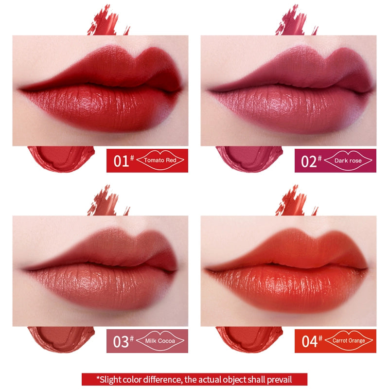 THANKS TO Flawless Matte Air Lip Gloss-Long-lasting Velvet Finish with four colors